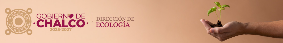 Encabezado